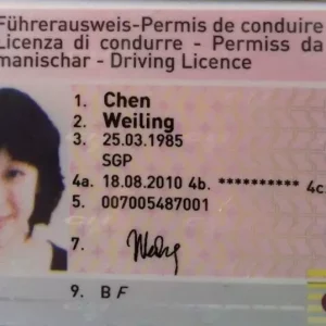 Schweiz Führerschein b
